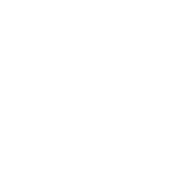 Software Development Company