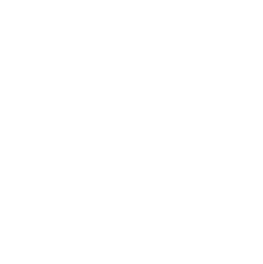 Software Development